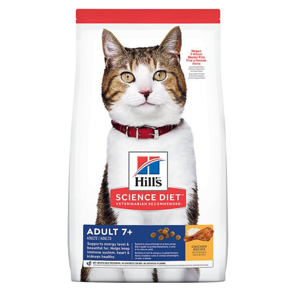 Adult Senior 7+ Dry Cat Food Chicken 667b5337be739